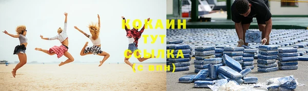 ПСИЛОЦИБИНОВЫЕ ГРИБЫ Заводоуковск