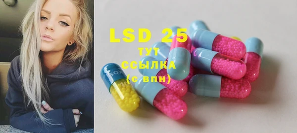 ПСИЛОЦИБИНОВЫЕ ГРИБЫ Заводоуковск