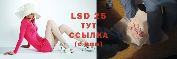 PSILOCYBIN Заволжск