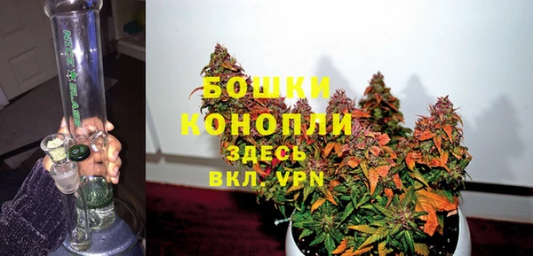 ПСИЛОЦИБИНОВЫЕ ГРИБЫ Заводоуковск