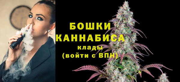 ПСИЛОЦИБИНОВЫЕ ГРИБЫ Заводоуковск