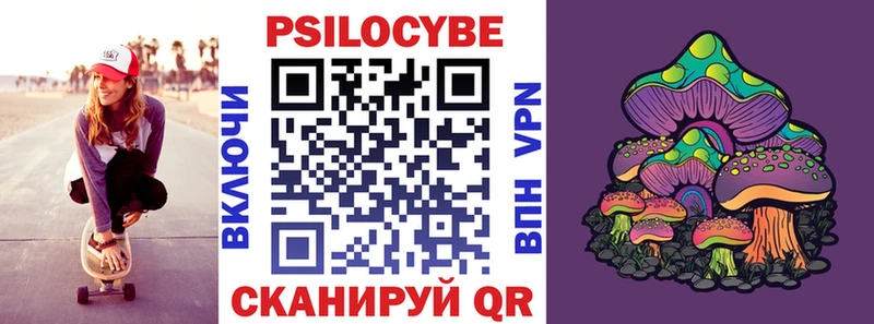 Купить  Павловск  Галлюциногенные грибы Psilocybe 