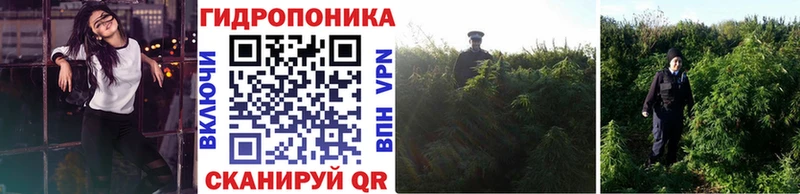 Конопля конопля  Купить где  Павловск 
